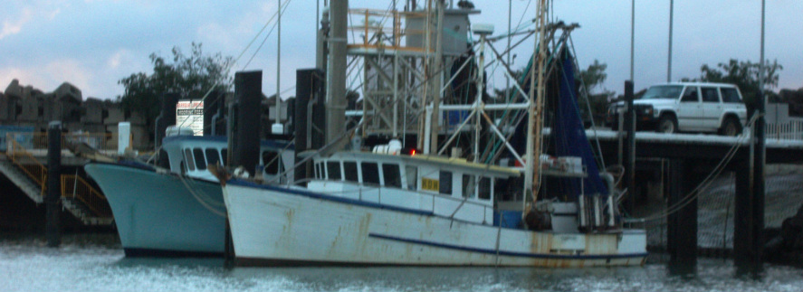 Trawl - Queensland Recreational Fishers Network